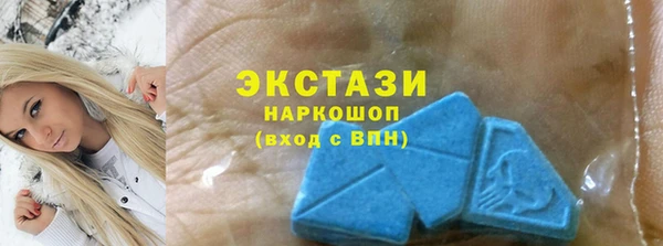 индика Беломорск