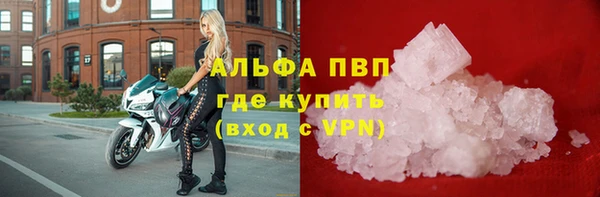 бошки Белокуриха