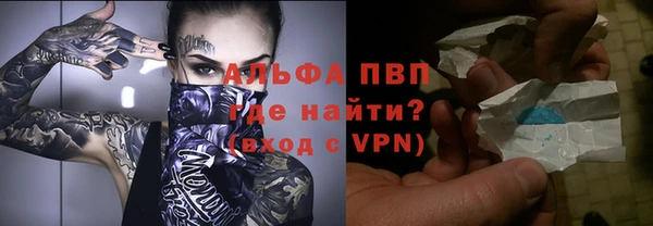 бошки Белокуриха