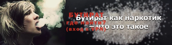 индика Беломорск