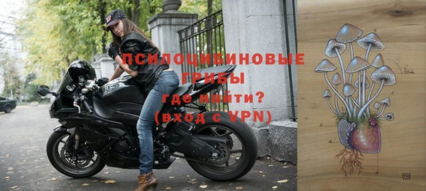 индика Беломорск