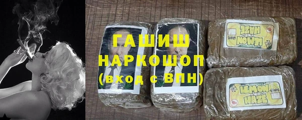 индика Беломорск